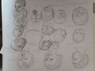Preliminary sketches