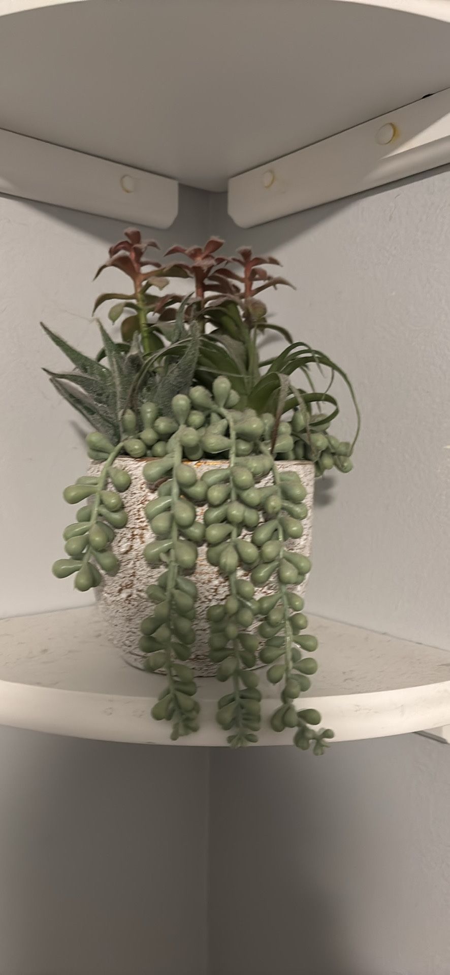 Fake Plant