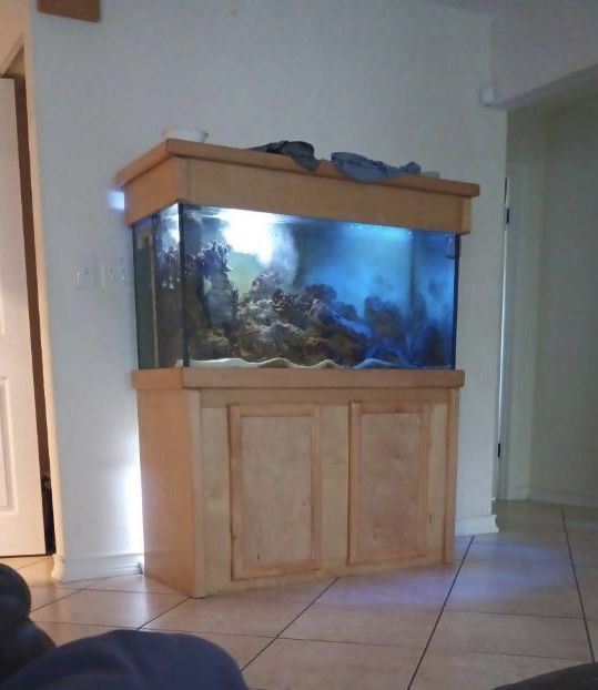 90 Gallon Saltwater Tank and Cabinet