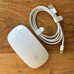 Apple Wireless Mouse with NEW Charging Cable