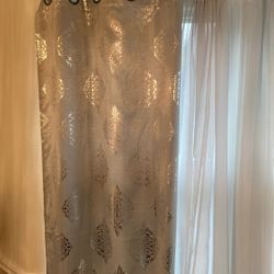 Silver Curtains 