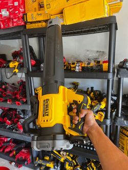 Dewalt blower tool only 20v