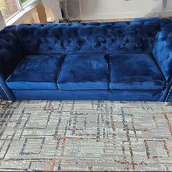 Blue Velvet Couch