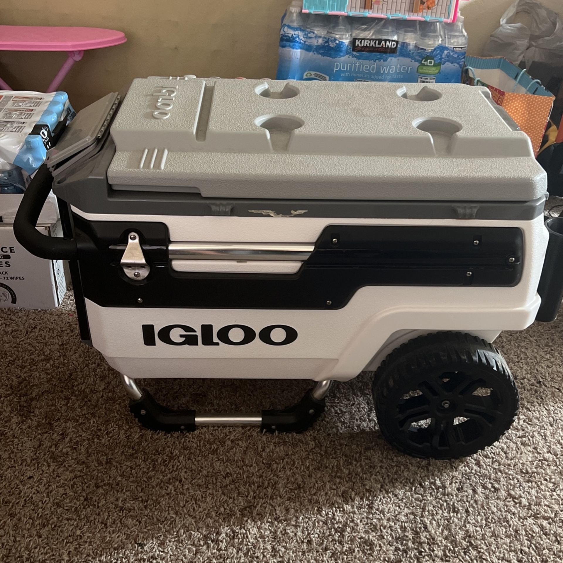 Igloo Cooler  