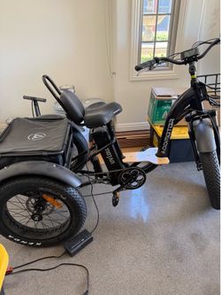 Addmotor m-340 moton e bike tricycle e-bike etrike trike