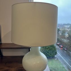 Opal Glass Table Lamp