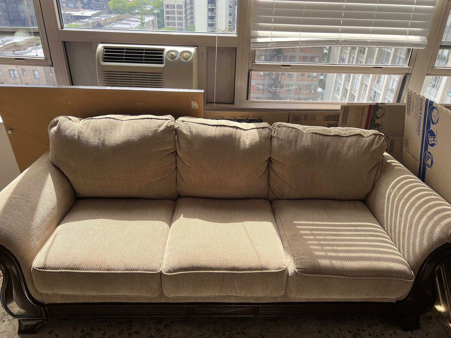 Ashley Sleeper Sofa (no Pet/bug Guaranteed)