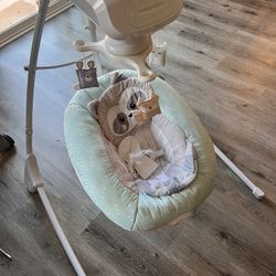 Infant Swing