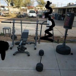 Weight Bench, Curl Bar, Punching Bag Combo Gym