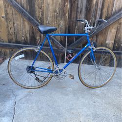 Schwinn Bike