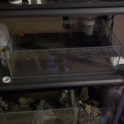 Multiple UNS Aquariums For Sale