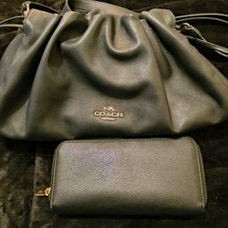Coach Bag N Wallet And Micheal Kors