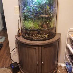 Crested gecko enclosure for sale sale