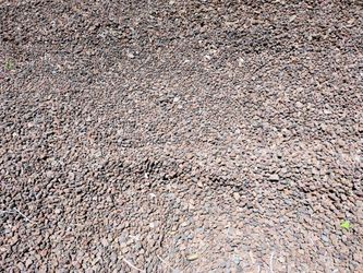 Free lava rocks- $00