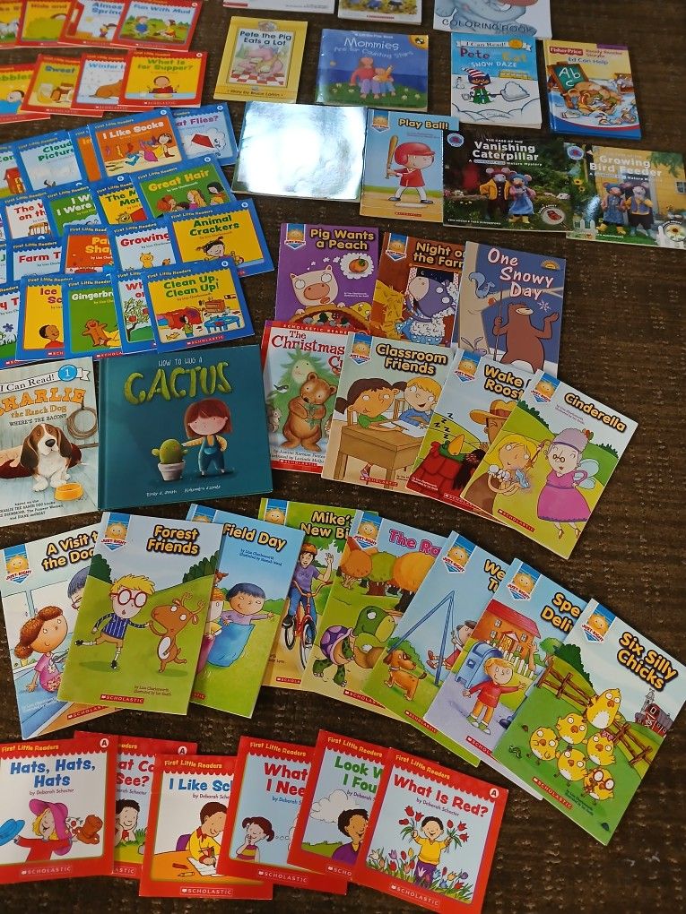 Large Children's Book Bundle