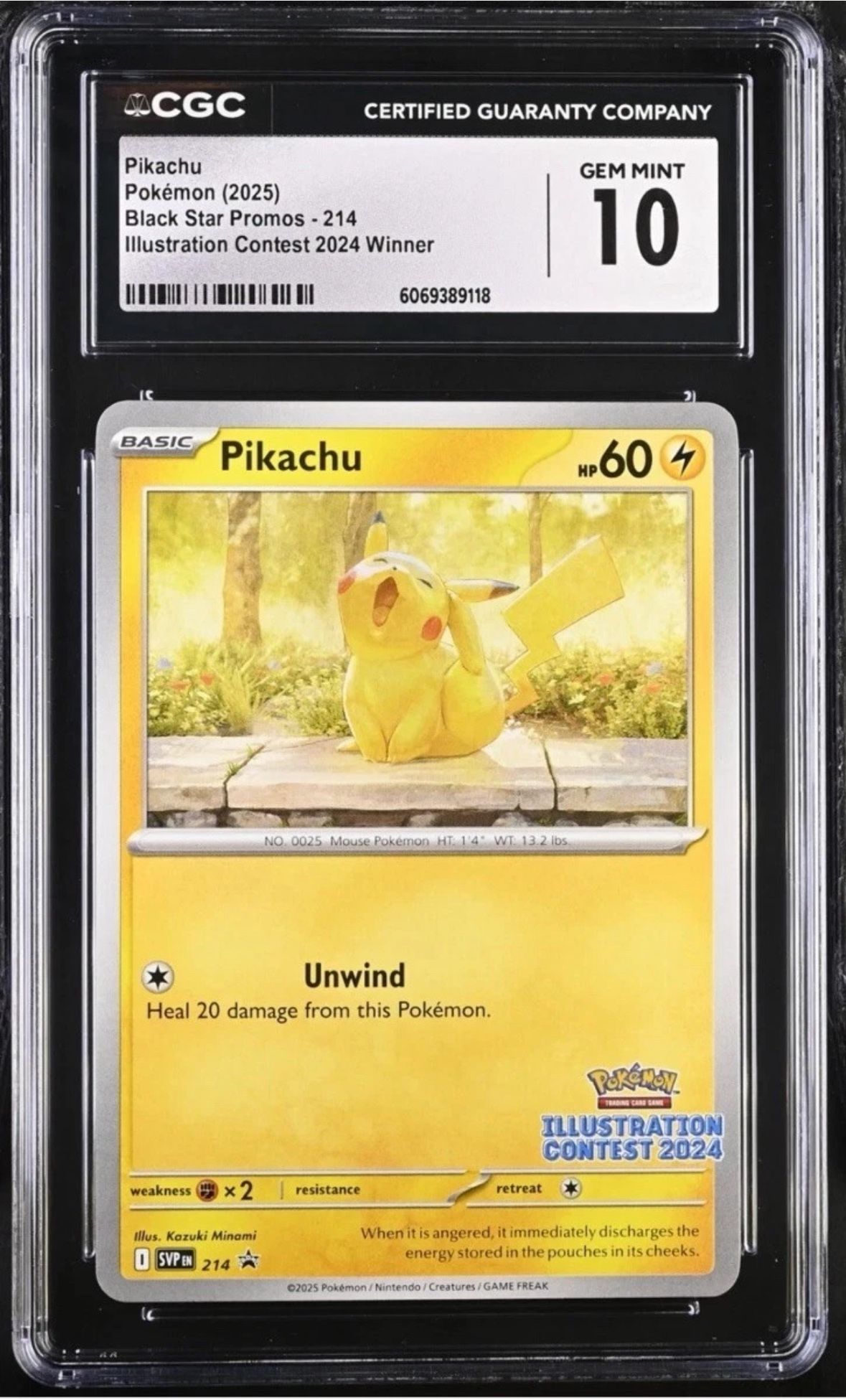 Pikachu Illustrations 2025 Winner