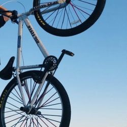 SE Big Flyer Bike 
