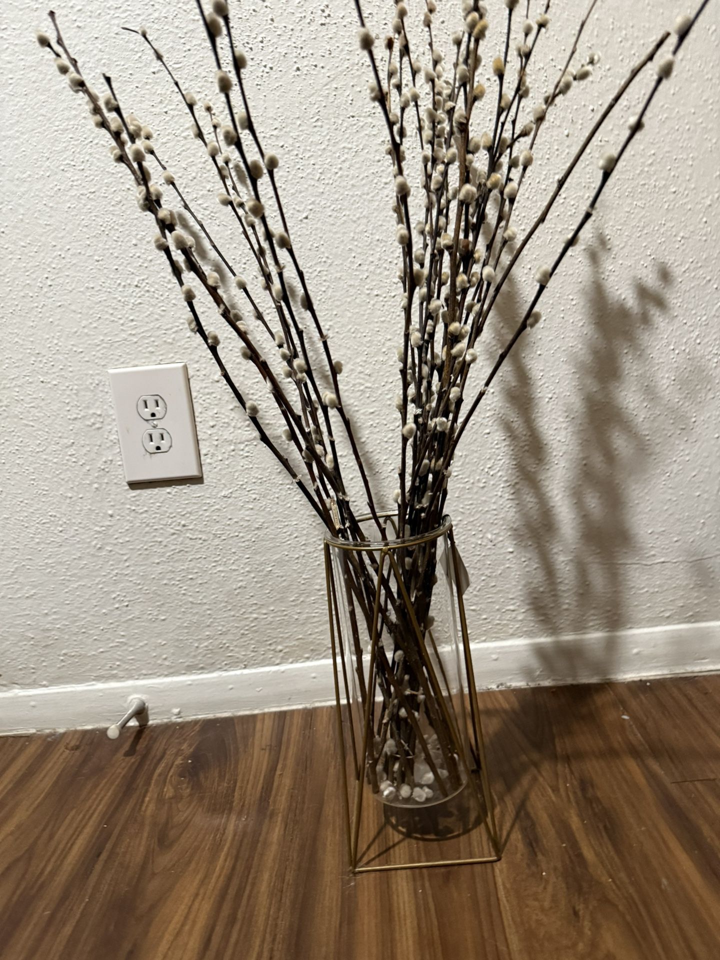 Plant & Glass Holder