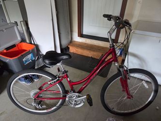 Raleigh Venture 4.0 Comfort Bike