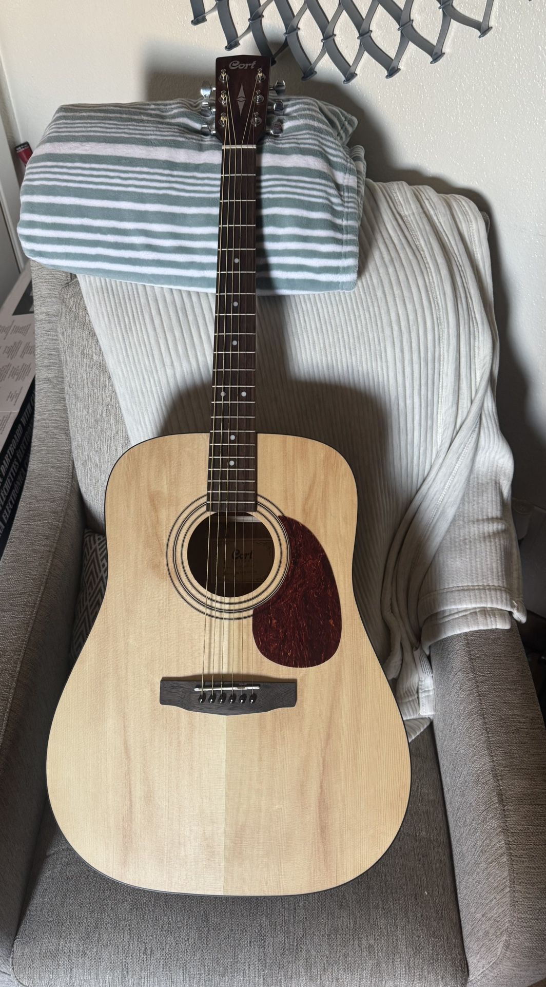 Brand New Cort Earth60 Acoustic