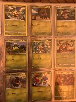 Pokemon Cards