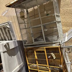 Birds Cages 