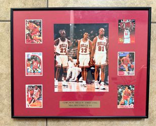 1995-96 NBA Chicago Bulls Framed Photo 72-10 Season Michael Jordan