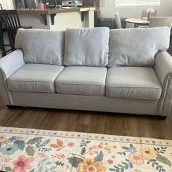 Sleeper Sofa Set
