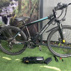 Used e-bike 