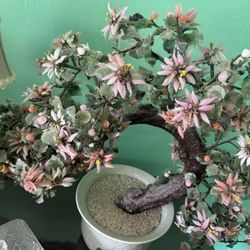 Real Jade Bonsai