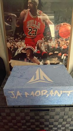 Nike Ja’s 1 ( Monster )