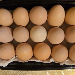 Fresh Eggs For Sale 