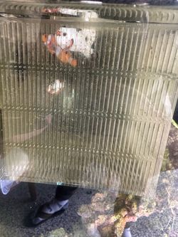 Aquarium decoration reef salt tank