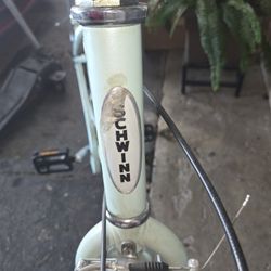 Womens Schwin Bike