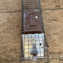 Rodent Trap 