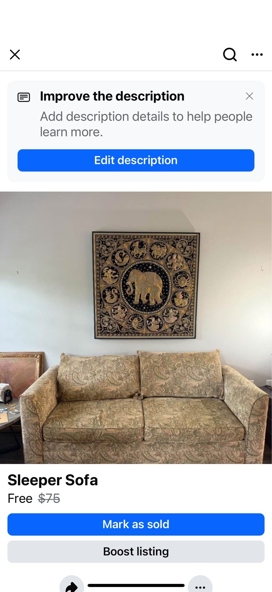 FREE-Sleeper Sofa