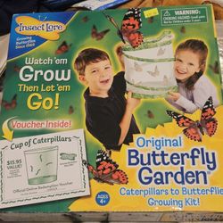 Butterfly garden growing kit