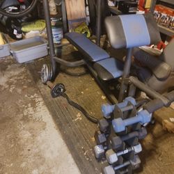Gold's Gym Bench Press Weight Lifting Set
