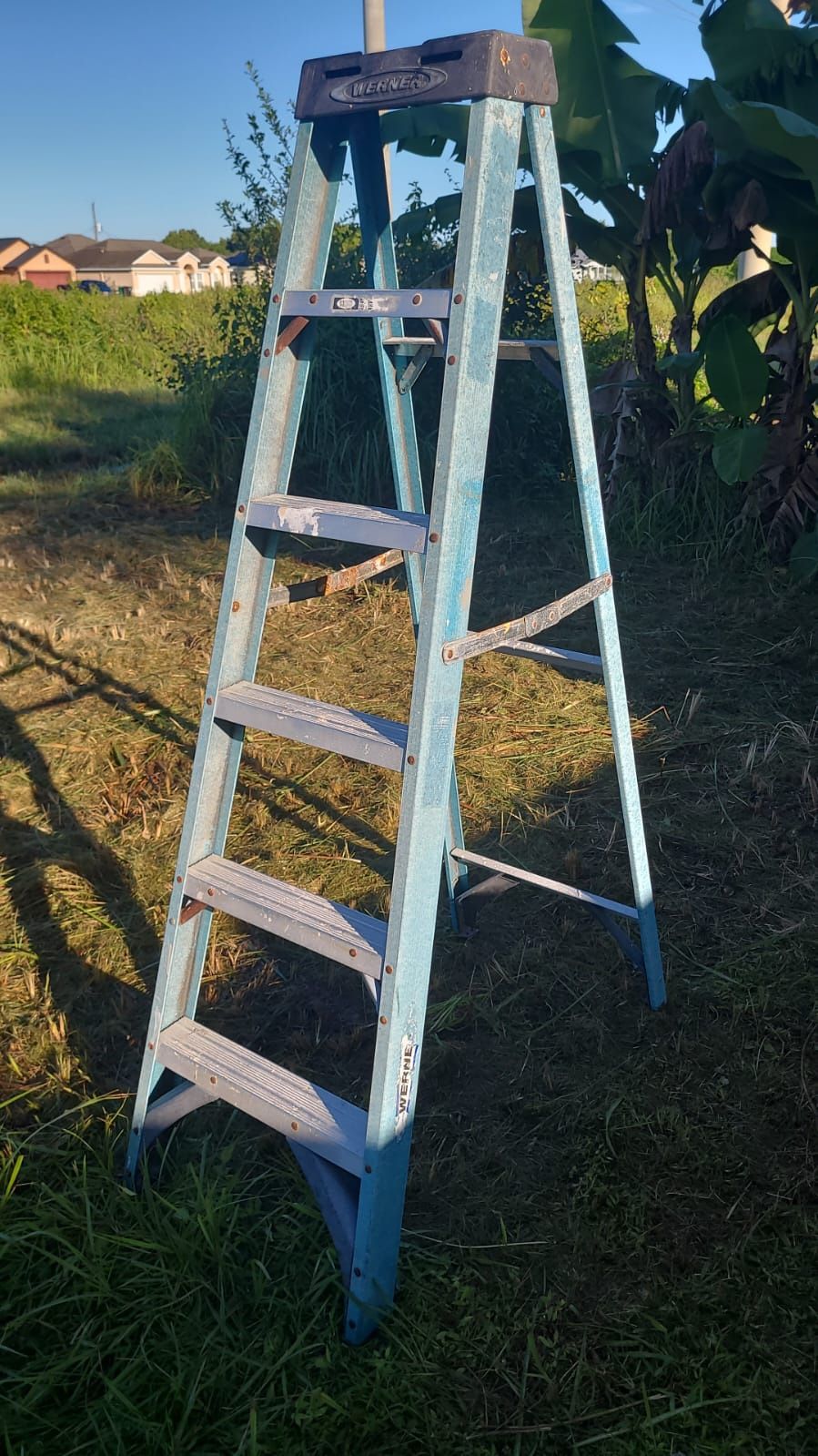 Werner Ladder 6ft #34