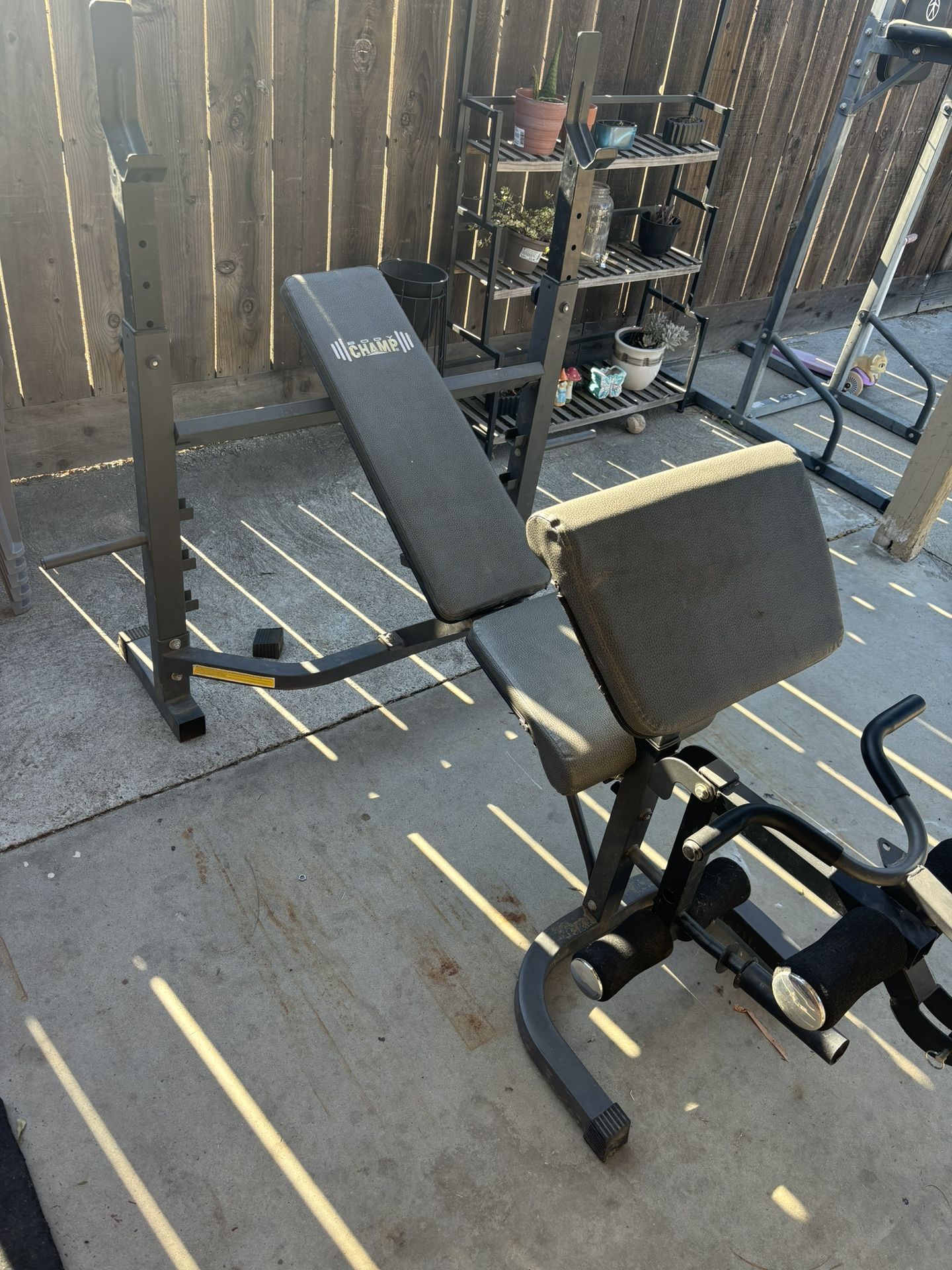 Weight Bench