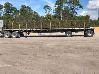 St Augustine Sod Pickup Or Delivery