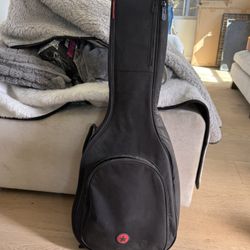 Roadrunner Acoustic Guitar Case