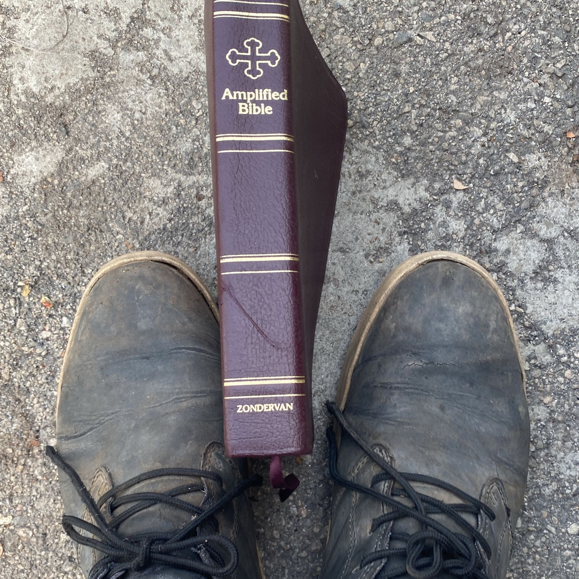 Amplified Bible