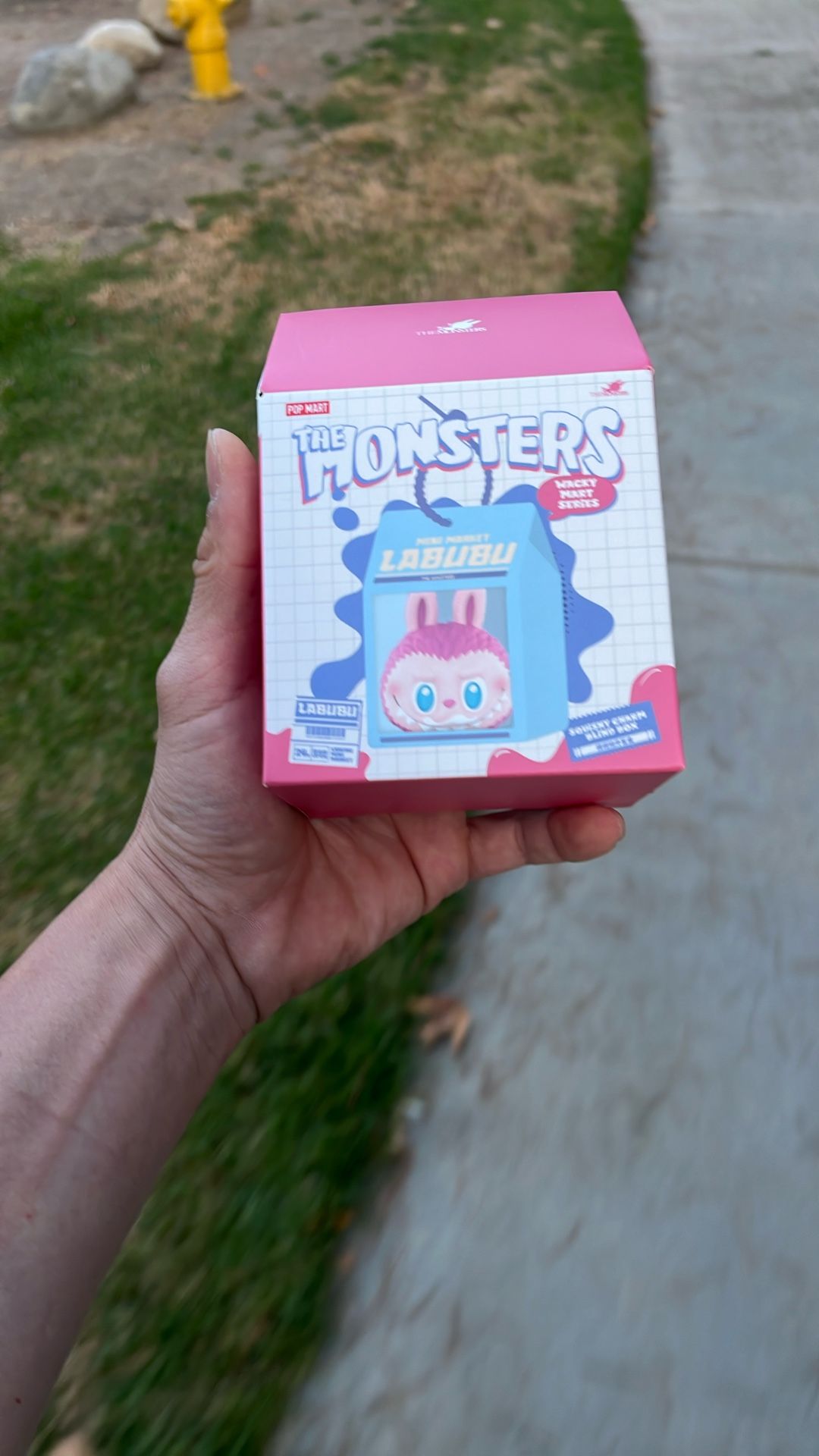 The Monsters Wacky Mart Squishy Charm Blind Box Labubu Sealed Authentic 