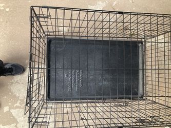 Puppy Crate