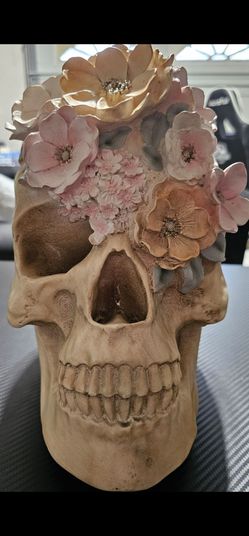 Skull decor