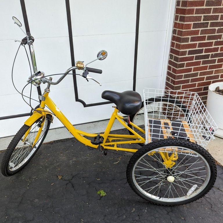 Adult Trike/Tricycle 