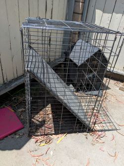 Dog Crate