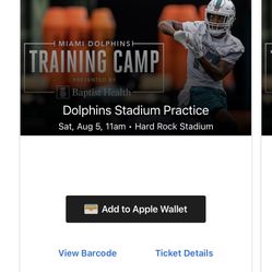 DOLPHINS STADIUM PRACTICE Sat Aug 5th 11am