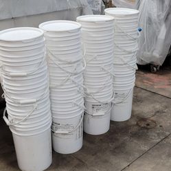 6 Gal Pails / Buckets